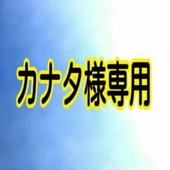 ☆カナタ様専用☆のサムネイル