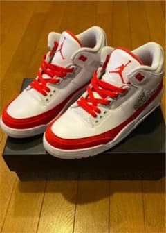 air jordan 3 エア　ジョーダン 3 ティンカー　28cmのサムネイル