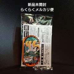 レジギガス スペシャルタグ ポケモン メザスタのサムネイル