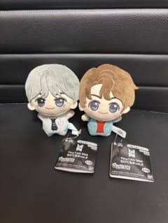 BTS TinyTAN DNA 치비구루미 V 태태국 2종 세트