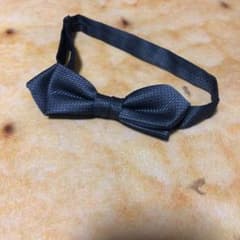 蝶ネクタイのサムネイル