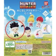 HUNTER×HUNTER 메지루시 액세서리 GI편 곤
