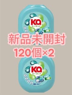 カーポッド 部屋干しEX シトラスティー×ホワイトムスクの香り 120個入