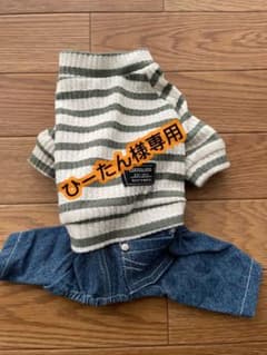 犬服のサムネイル
