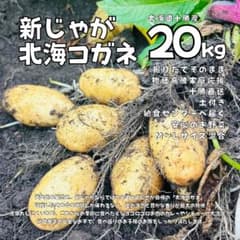 大容量: 季節限定※人気の万能型新じゃがホッカイコガネ20kg - メルカリ