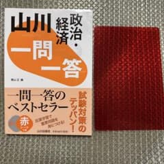山川 一問一答 政治・経済のサムネイル