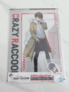 CRAZY RACCOON Jasper 클리어 파일 & 스티커 세트