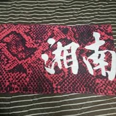 湘南乃風 パイソンレッド軍団限定色のサムネイル