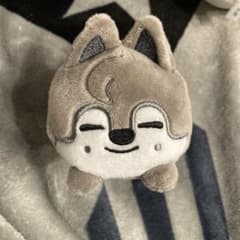 Stray Kids SKZOO 울프찬 백 미니 가방 매력