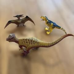 恐竜 フィギュア 3体セット　　パキケファロ　ティラノサウルス　プテラノドンのサムネイル