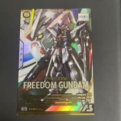フリーダムガンダム パラレルのサムネイル