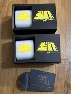 JJ LIN聖所SANCTUARY FINALE ペンライト2個セット 値下げ可のサムネイル