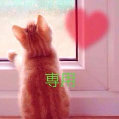 専用ページのサムネイル
