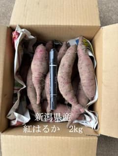 新潟県産 紅はるか 2kg　小さめサイズのサムネイル