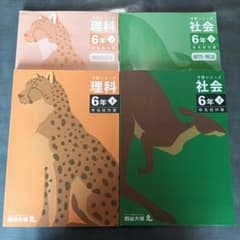 四ツ谷大塚予習シリーズ6年後期　有名校対策　4教科セット　⭐︎未開封新品 予習シリーズ6年下（後期教材）、難関校対策と有名校対策のどちらを