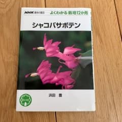 シャコバサボテン　　　むてい様のサムネイル