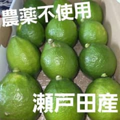 広島県瀬戸田産　グリーンレモン　農薬不使用のサムネイル