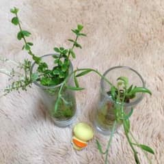 専用のサムネイル