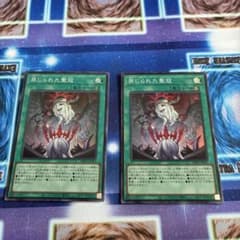 遊戯王 禁じられた聖冠 2枚セット - メルカリ