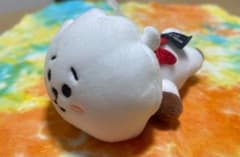 BT21 マスコットぬいぐるみのサムネイル