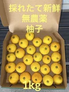 柚子のサムネイル