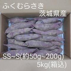 ふくむらさき 5kg(箱込) SS~S(約50g～200g) 茨城県産 - メルカリ