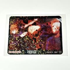 呪術廻戦 虎杖悠仁　釘崎野薔薇　ホログラムカード MARUMIYAのサムネイル