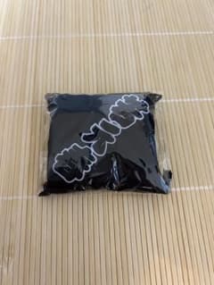 大人気！若元春　大相撲ガチャ　関取控え座布団キーホルダーのサムネイル
