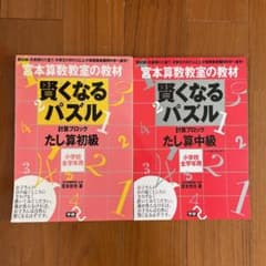宮本算数教室の賢くなるパズル : たし算・初級、中級のサムネイル