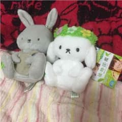 植物図鑑ボールチェーンぬいぐるみ❤︎樹とさやかのサムネイル