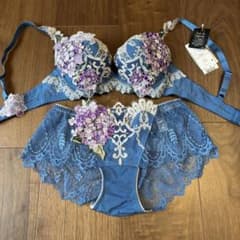 ⭐️専用⭐️ ワコール　サルート　ブラショーツセット　C75 M ⭐︎新品 ワコール サルート 49G 店舗限定 ブラ ショーツ セット D65