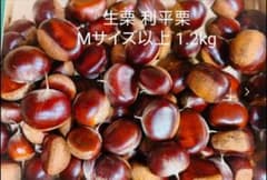生栗 利平栗 Ｍサイズ以上 1.2kgのサムネイル
