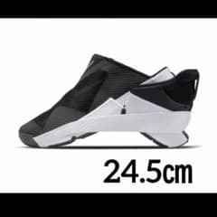 NIKE 24.5センチ レディース スニーカー GO FLYEASE 新品のサムネイル