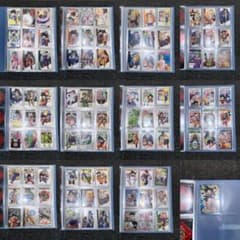 ドラゴンボール グミカード ドラゴンボールカード （100枚中 95枚