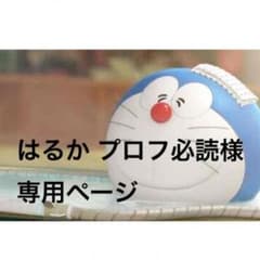はるか プロフ必読様専用ページのサムネイル
