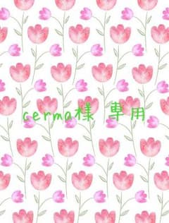 ♡cerma様専用♡のサムネイル