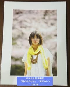 パネル 土屋 勝義氏 「瞳の中の少女」：滝沢カレン 2011年 - メルカリ