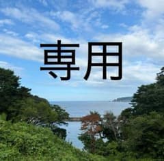 専用ページです - メルカリ