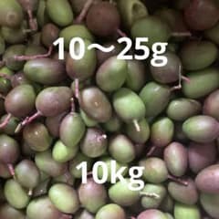 摘果　マンゴー　10〜25g10kgのサムネイル