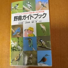 野鳥ガイドブック : バードウォッチングのための市街地・野山・水辺の鳥186種のサムネイル