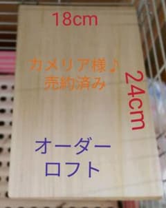 カメリア様♪オーダーうさぎのロフトお昼寝ステージのサムネイル