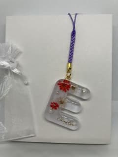 ハンドメイド　レジンチャーム　アルファベット　管理番号15970のサムネイル