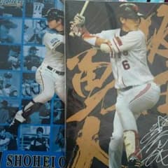 坂本勇人、大谷翔平選手ファイルのサムネイル