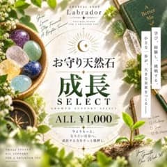 お守り天然石｜成長SELECT - 3