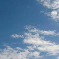 NY君専用のサムネイル