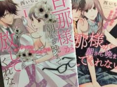 旦那様が朝から晩まで放してくれない 1/27まで限定出品のサムネイル