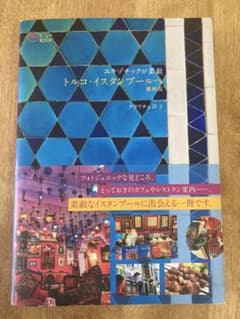 エキゾチックが素敵 トルコ・イスタンブールへ(最新版)のサムネイル