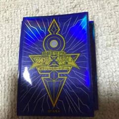 遊戯王 プロテクターのサムネイル
