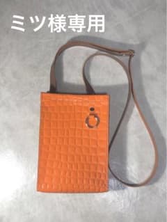 ミツ様ご要望サコッシュのサムネイル