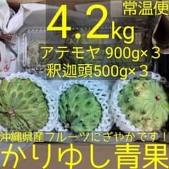 沖縄県産♪アテモヤ2.2㎏② S115591544 - 果物ビンテージ品